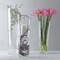 Modern Clear Glass Conical Vase in Tall Dining Table Centerpiece